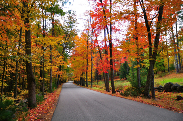 fall foliage escorted tour