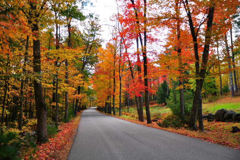 new england fall foliage escorted tours