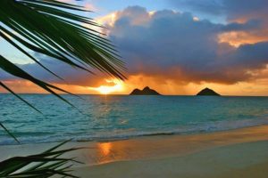 USA Beach Holidays - Florida & Hawaii | Complete North America